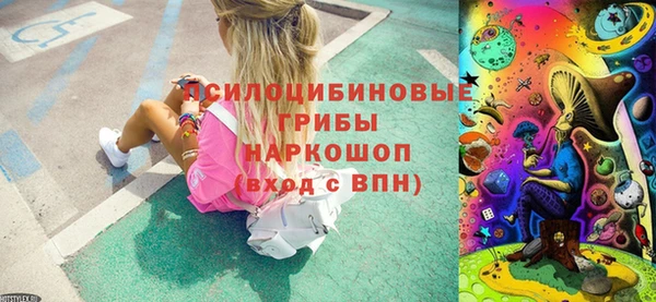 Альфа ПВП Аркадак