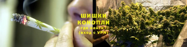Альфа ПВП Аркадак