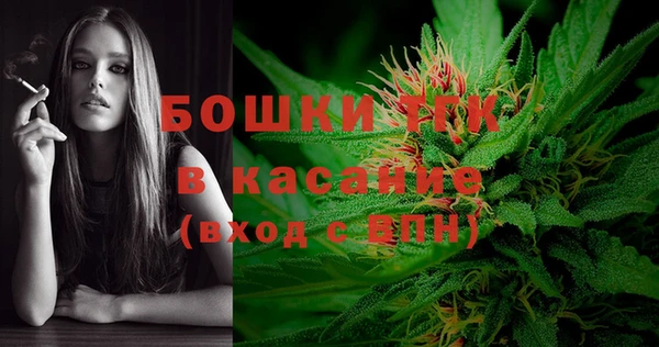 Альфа ПВП Аркадак