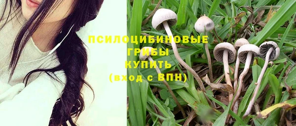 бутират Арсеньев