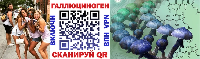 Псилоцибиновые грибы Psilocybe  Нижняя Салда 